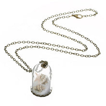 Load image into Gallery viewer, Star Shells & Salt Wish Miniature Tube Bottle Pendant Bronze Chain Necklace