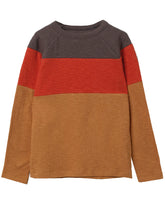 Load image into Gallery viewer, Boys Fat Face Brown Multi Large Stripes Supersoft Cotton Top