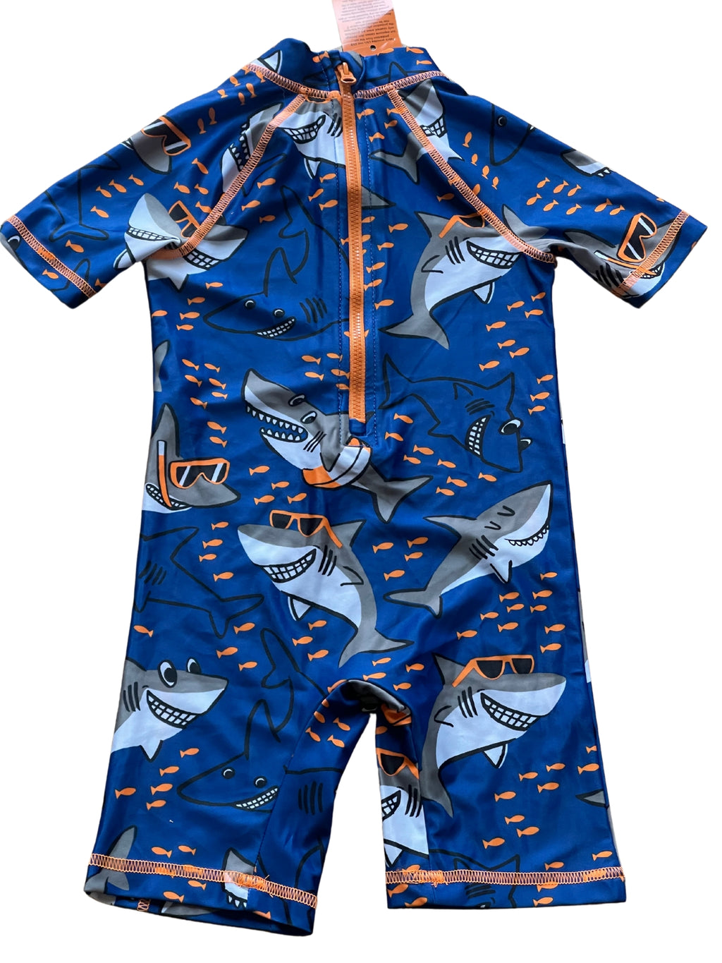 Boys Royal Blue Whale Wearing Glasses Print Sunsafe UV40+ One Pce Swimming Suit