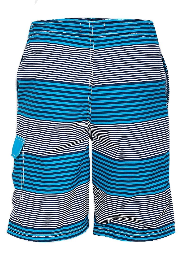 Mens Blue Multi Fine Stripes Drawcord Mesh Lined Swimming Shorts