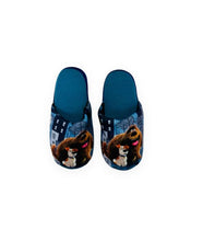 Load image into Gallery viewer, Boys Girls Secret Life of Pets Slip On Non Slip Cozy Slippers

