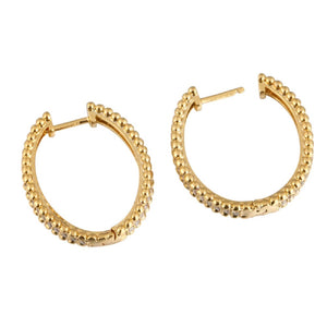 Elegant Gold Oval Beaded Trim Middle Zircon Creole Hoop Earrings