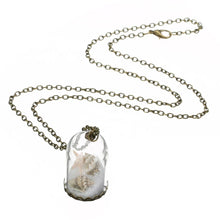 Load image into Gallery viewer, Star Shells &amp; Salt Wish Miniature Tube Bottle Pendant Bronze Chain Necklace
