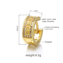 Load image into Gallery viewer, Great Wall &amp; Micro Pave Zircon Crystal Small Creole Hoop Earrings

