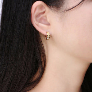 Gold & Silver Titanium Steel Anti-Allergic Small Hoop Earrings