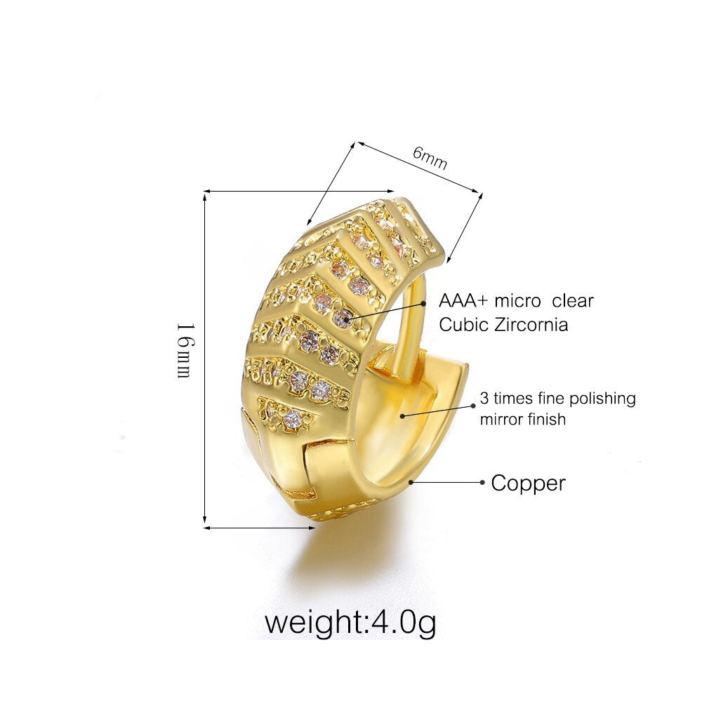 Ladies Micro Pave Zircon Small Creole Hoop Earrings