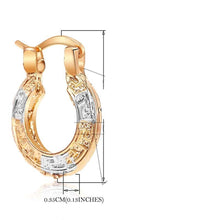 Load image into Gallery viewer, 18k Silver &amp; Gold Plated Two Tone Hook Loop Fashion Earring
