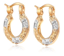Load image into Gallery viewer, 18k Silver &amp; Gold Plated Two Tone Hook Loop Fashion Earring
