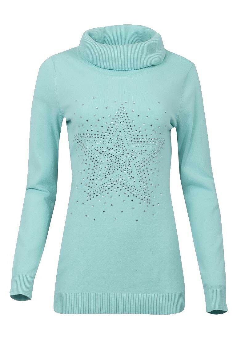 Mint Roll Neck Ribbed Knitted Star Embellished Jumper